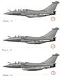 Rafalefamily