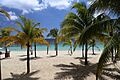 Roatan, Honduras (27086502134)