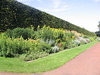 Archivo:Royal Botanic Garden Edinburgh - geograph.org.uk - 509222
