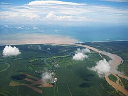 Sediments of Changuinola River.jpg