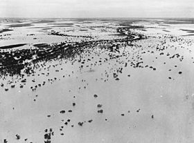 StateLibQld 1 164123 Thomson River in flood at Jundah, Queensland, 1950.jpg