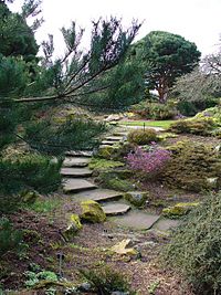 Archivo:Steps Climb through the rock garden in the Botanic Gardens - geograph.org.uk - 925457