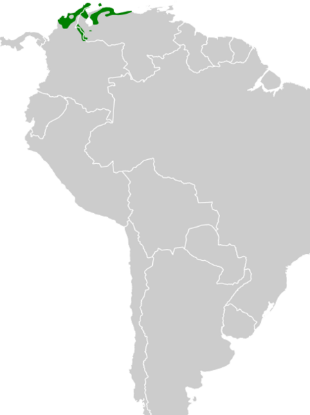 Thamnophilus melanonotus map