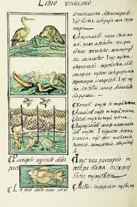 The Florentine Codex- Birds and Fish