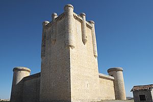Archivo:Torrelobatón Castillo 557