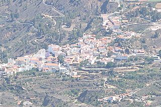 Tunte desde el Pico de las Nieves.jpg