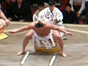 Archivo:Yokozuna-dohyou-iri (Hakuhou)