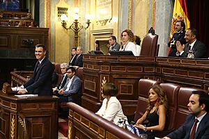 Archivo:2019-07-22, Sesión de investidura de Pedro Sánchez, Cámara del Congreso de los Diputados, Pool Moncloa-Fernando Calvo
