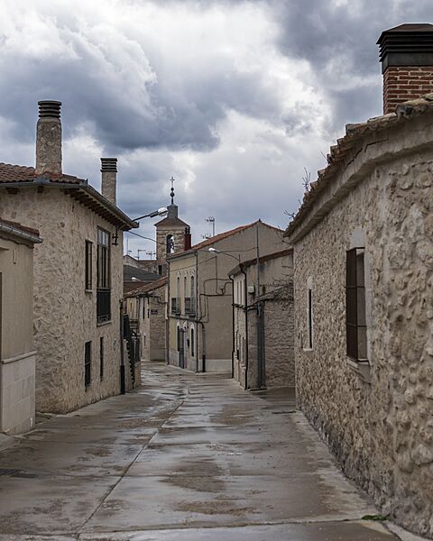 20250316 TORRESCARCELA (5)-1