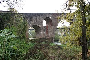 Archivo:7 Pont Vell de Sant Joan de les Abadesses. Riu Ter (8)