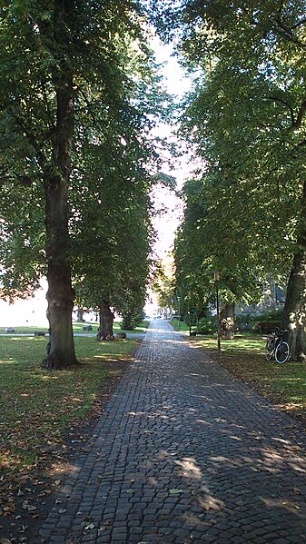 Aarhus town hall park avenue