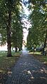Aarhus town hall park avenue