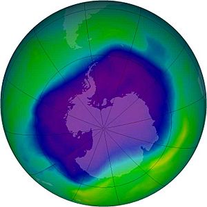 Archivo:Antarcitc ozone layer 2006 09 24
