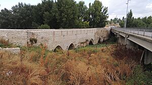 Archivo:Arévalo - Puente de Valladolid