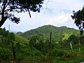 Barrio Culebras Bajo, Cayey, Puerto Rico