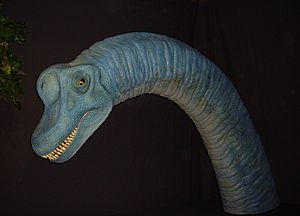 Archivo:Brachiosaurus Animatronic model NHM2