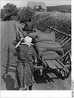 Archivo:Bundesarchiv Bild 183-75813-0003, Missernte, Abtransport der Ernte