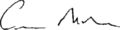Carl Bildt signature