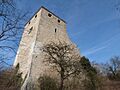 Château de Saint-Denis-en-Bugey1