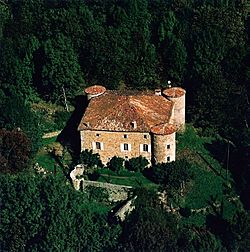 Château du Pin.jpg