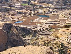 Archivo:Colca Valley 2007 40