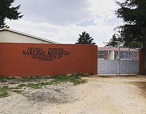 Archivo:Colegio Narciso Mendoza