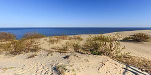 Archivo:Curonian Spit NP 05-2017 img15 Epha Dune