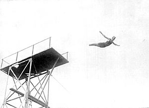 Archivo:Diver2