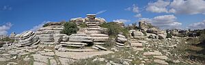 Archivo:El Torcal - Tornillo