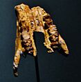 Eritherium azzouzorum 54