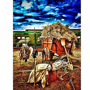 Archivo:Exposición en la feria agro-ganadera y multisectorial de Siruela