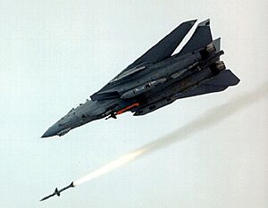Archivo:F14Missile