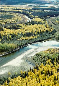 Archivo:Fall on the Yukon Flats NWR