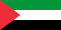 Flag of Palestine (1948–1964)