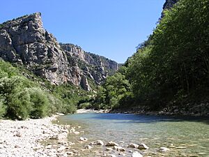 Archivo:Gorges du Verdon River from Bottom 0364