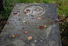 Archivo:Grave of David Owen
