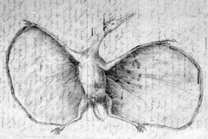 Archivo:Hermann pterodactylus restoration1