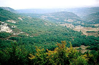 Huidobro (2001).jpg