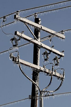 Archivo:Iced power lines