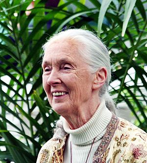Archivo:Jane Goodall GM