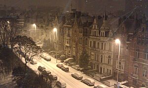 Archivo:Marie-Louise Square under snow - panoramio