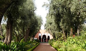 Archivo:Morocco - Marrakech - La Mamounia (49122388543)