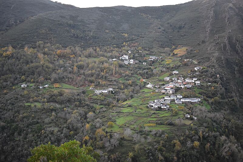 Navea, A Pobra de Trives