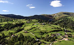 Archivo:Paisaje de prados de siega en Cantabria (España). Monte (Riotuerto), Barrio de Idiopuerta