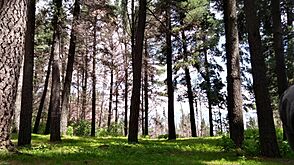 Parque Tunari CBBA. 02
