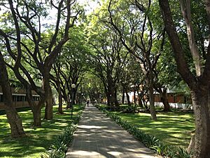 Archivo:Pasillo ITESO