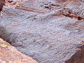 Petroglifos Talampaya