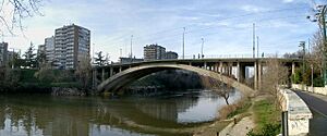 Archivo:Puente Isabel la Catolica Valladolid