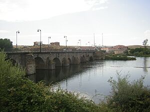 Archivo:Río Tormes en Alba de Tormes