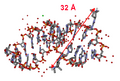 RNA Struktur